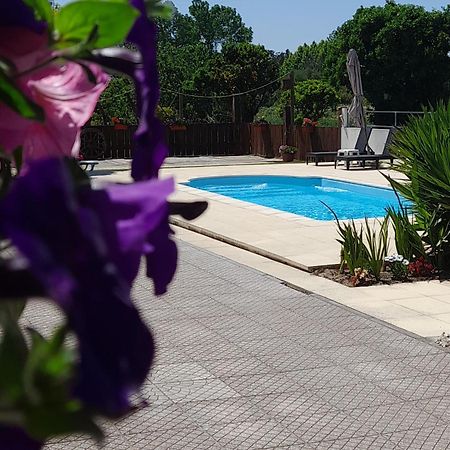 فيلا Casa Calado Cadima المظهر الخارجي الصورة