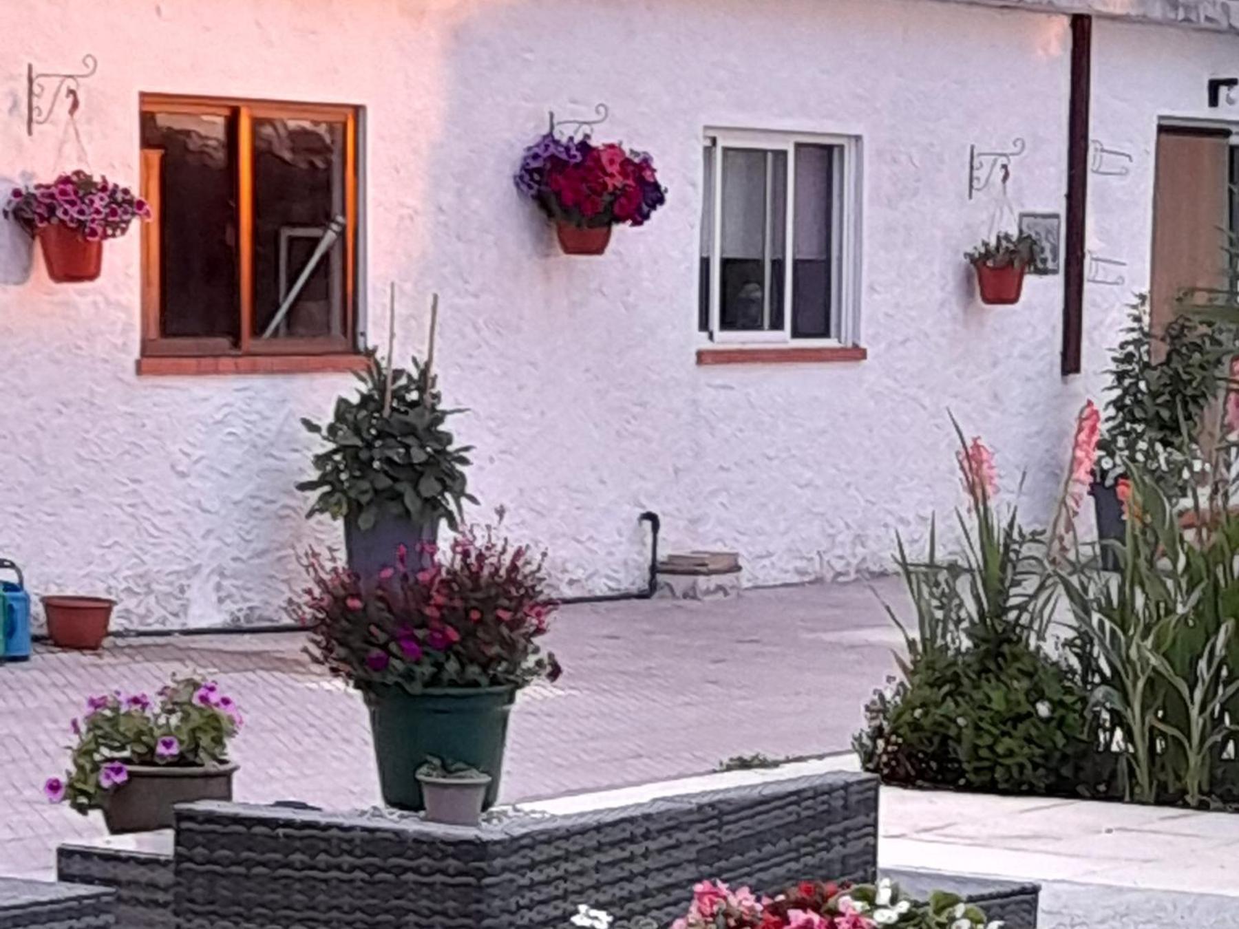 فيلا Casa Calado Cadima المظهر الخارجي الصورة