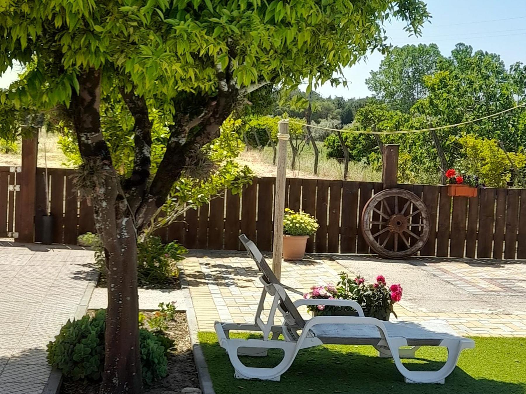 فيلا Casa Calado Cadima المظهر الخارجي الصورة
